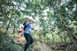 BIB: 
                            <button type="button" onclick="openModal(25979912)" class="btn btn-primary btn-sm float-right btn-popup" data-toggle="modal" data-target=".modal-high-quality">
                        <i class="fas fa-shopping-cart"></i> Add to Cart
                    </button>
                                            <button type="button" onclick="isThisMe(25979912, true)" class="btn btn-success btn-sm float-right btn-popup btn-isme hidden" data-toggle="tooltip" data-placement="bottom" title="นี่คือรูปของคุณใช่ไหม คลิกที่นี่เพื่อเอาเข้าอัลบั้ม">
                        <i class="fas fa-plus"></i> Add to album
                    </button>
                    <button type="button" onclick="isThisMe(25979912, false)" class="btn btn-warning btn-sm float-right btn-popup btn-isnotme hidden">
                        <i class="fas fa-ban"></i> Remove from album
                    </button>